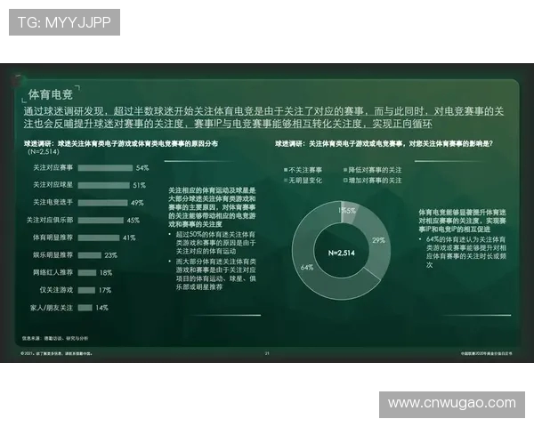 全球顶级足球联赛格局演变与现代职业体育产业发展的深度解析