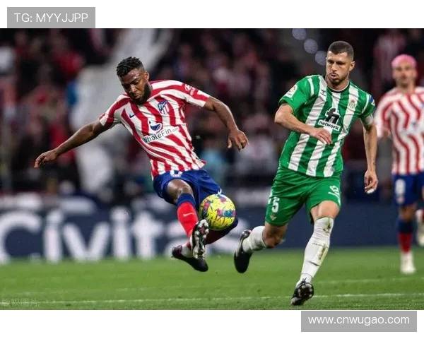 精彩体育对决比分一览:各大赛事激烈角逐,实时更新赛果与数据分析