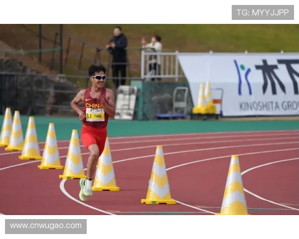 网球运动的魅力与发展：从初学者到职业选手的成长之路