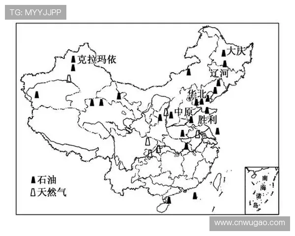 专业分析：液化天然气在区域市场的防守策略与应对措施