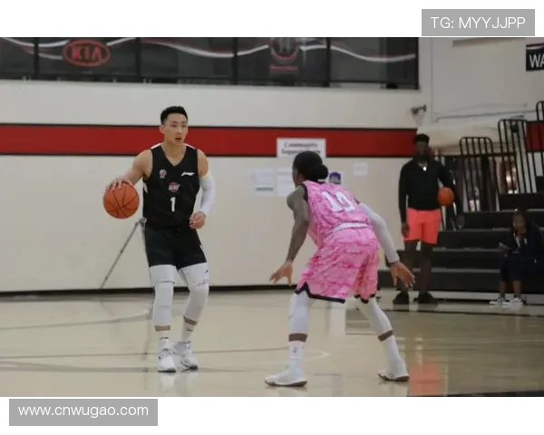 广州篮球队比赛经验深度解析与战术探讨