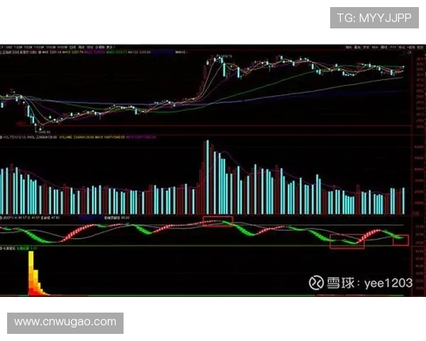 成都篮球队与北京篮球队赛后状态分析与复盘总结