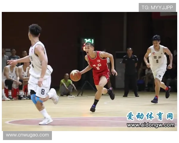 杭州篮球队球员个人能力分析与表现评估研究报告