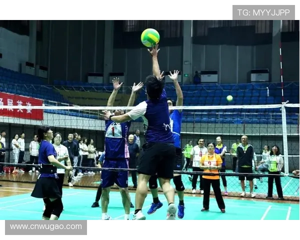 重庆排球队逆袭之路揭秘洲际杯背后的奋斗与荣耀