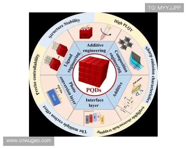 RulerADC的崛起与电竞领域发展趋势的深度分析与探讨