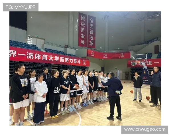 体育精神与竞技力的融合探讨：如何通过体育培养团队合作与个人毅力