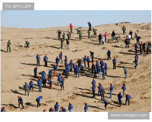 代怀博的成长之路与未来发展展望:从新星到行业领军者的蜕变之旅 代怀博的成长之路与未来发展展望:从新星到行业领军者的蜕变之旅