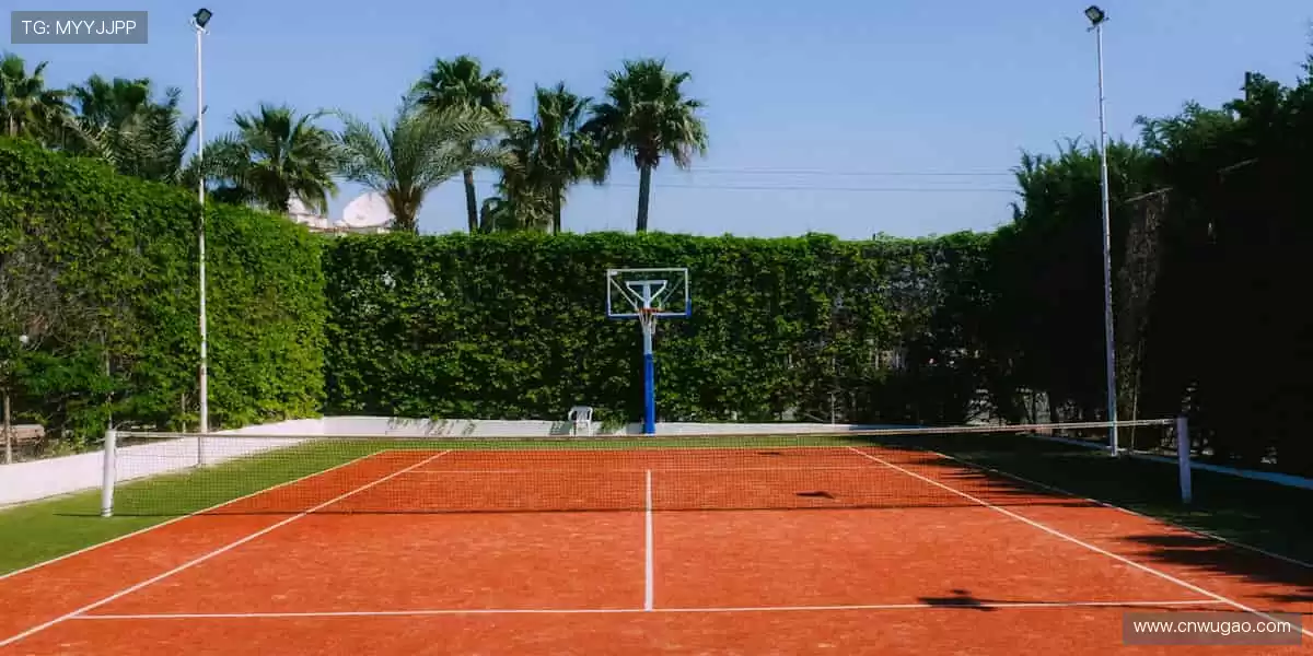 一键订阅,精彩赛事永不缺席🔔✅